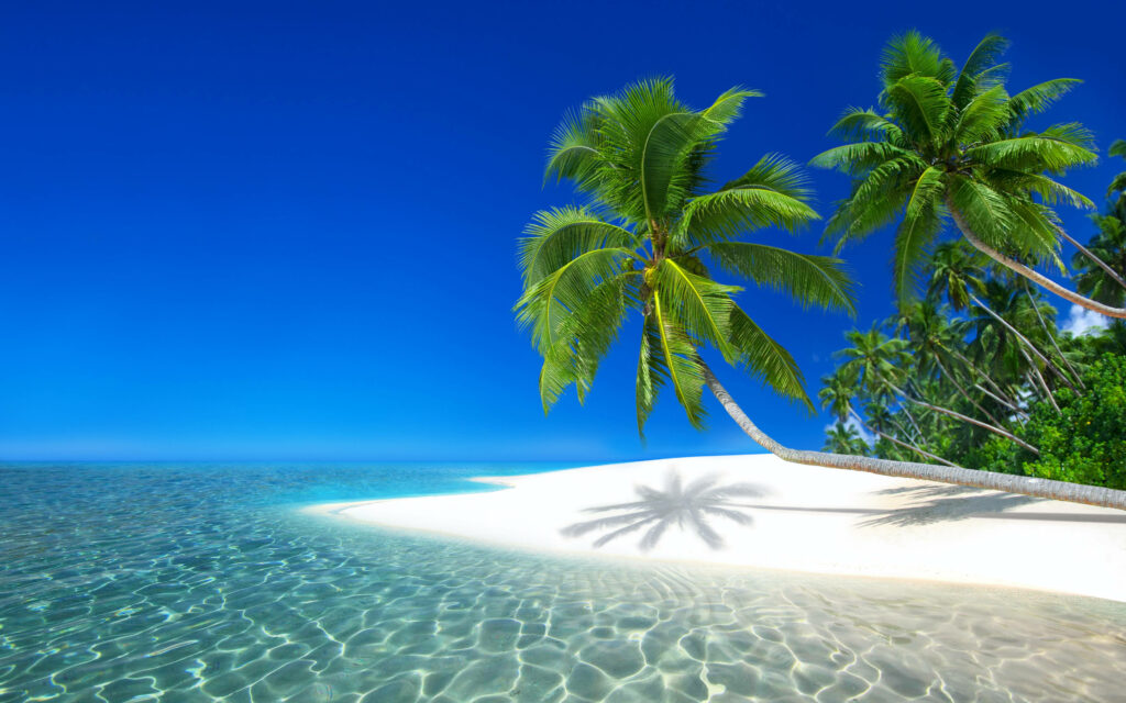 Paradise Found: Stunning 4k UHD Tropical Beach Wallpaper