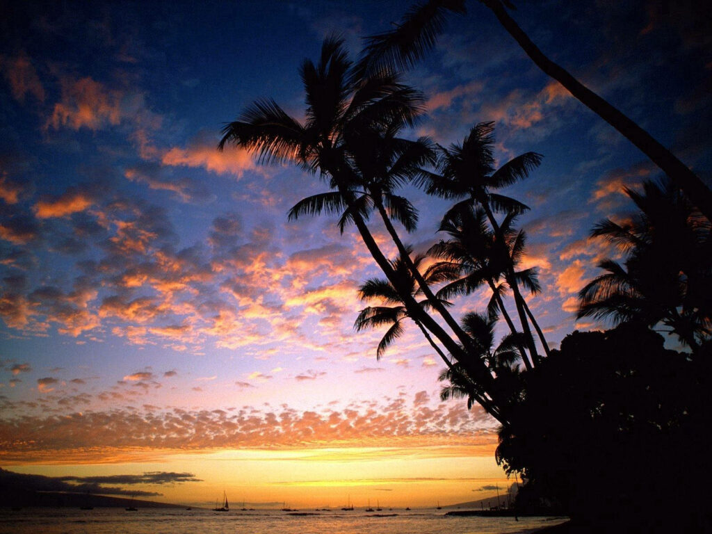 Hawaiian Paradise: Majestic Sunset Sky and Silhouetted Palms Casting a Beautiful Glow over the Beach Wallpaper