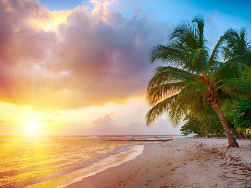 Paradise Found: Savor the Serene Ambiance of a Spectacular Caribbean Beachscape Wallpaper