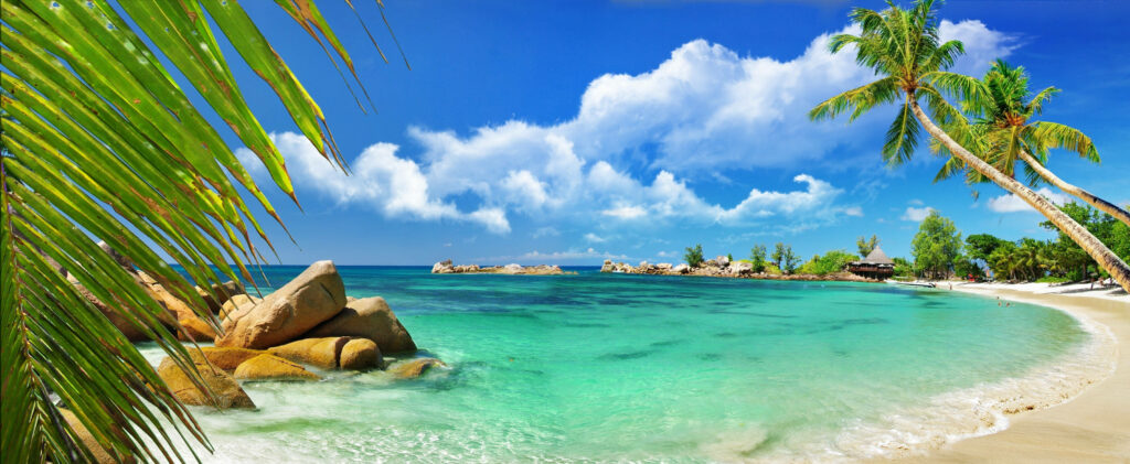 Seychelles' Breathtaking Coastal Paradise: A Majestic Tropical Haven Wallpaper