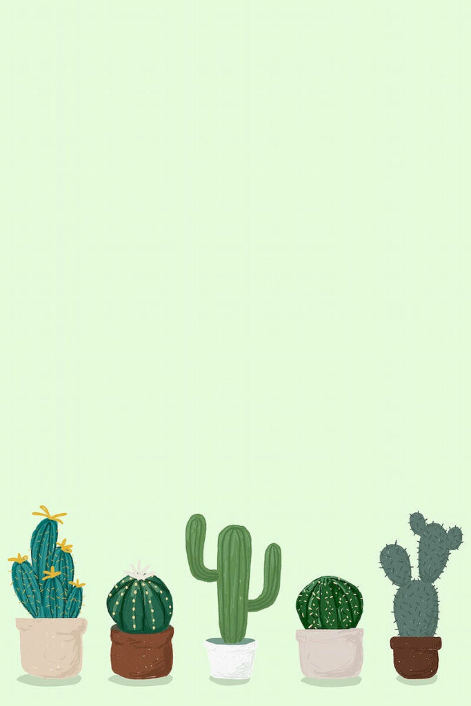 Pastel mobile wallpaper with charming potted cacti on soft light green background fresh design