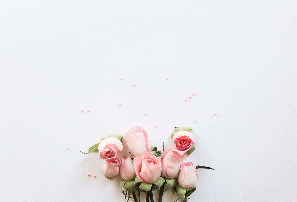 Whimsical Beauty: Pastel Pink Aesthetic Roses Resting on a White Canvas Wallpaper
