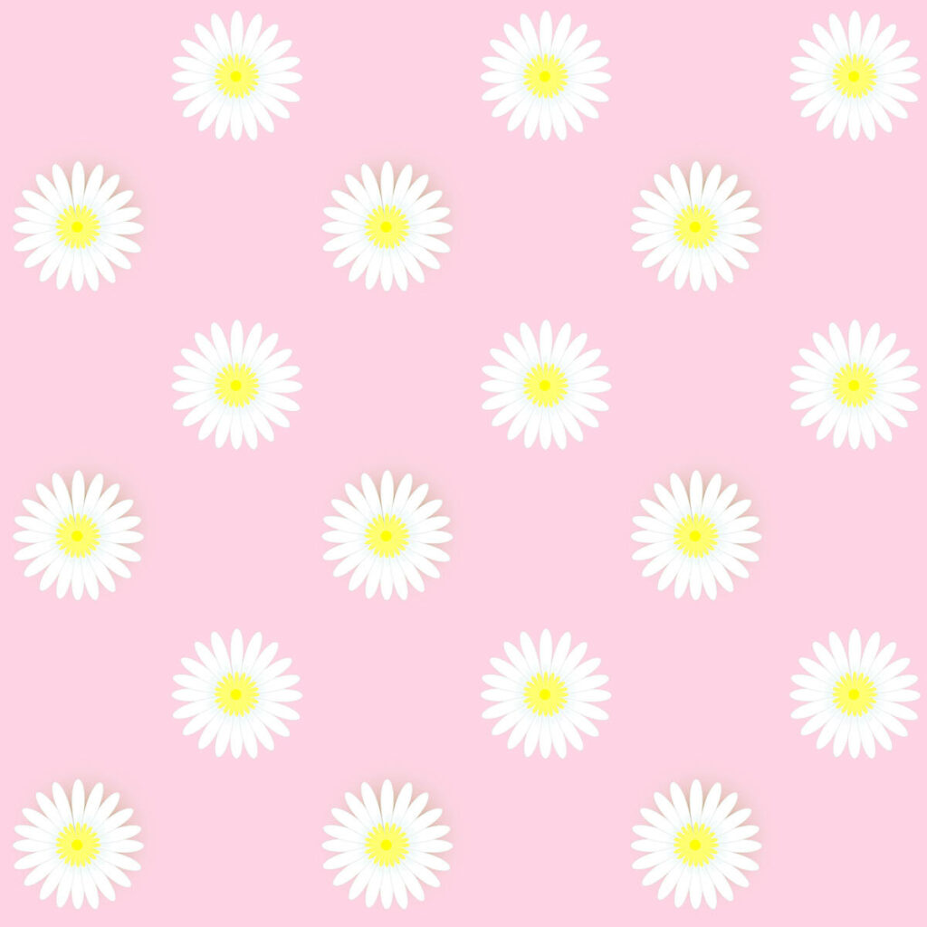 Delicate Pastel Pink Daisy Wallpaper Background for Minimalist Design