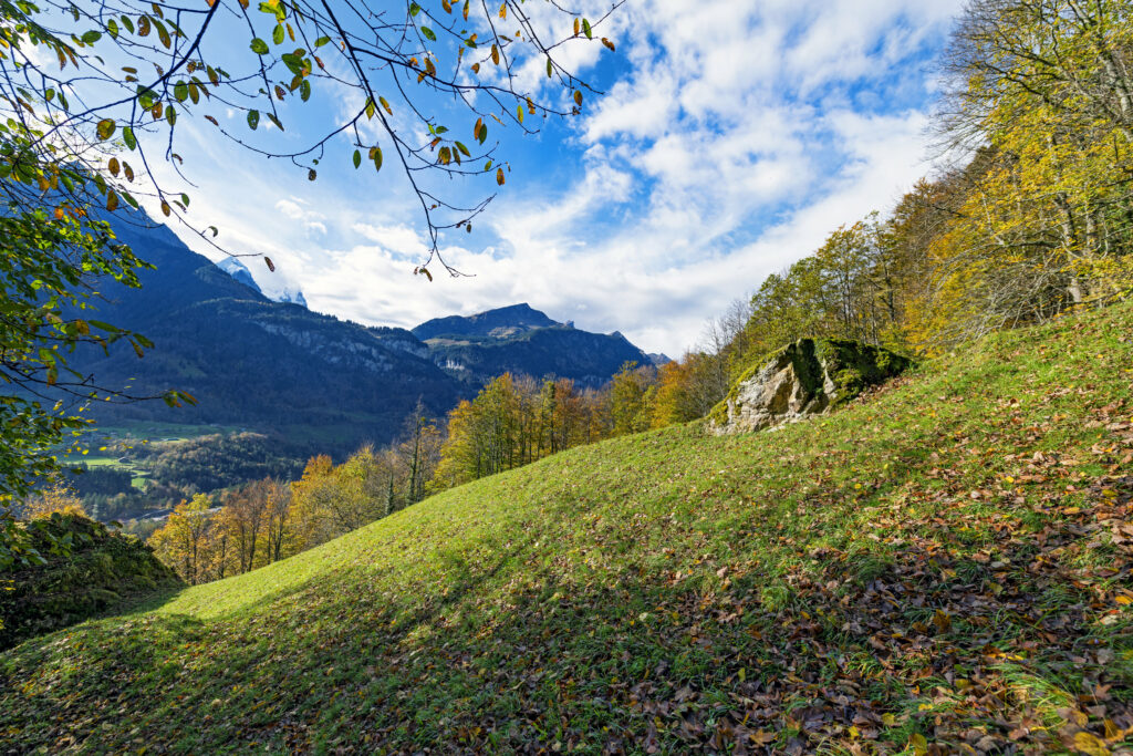 Vibrant autumn landscape with grassy slope leaves forest mountains bright blue sky wallpaper background