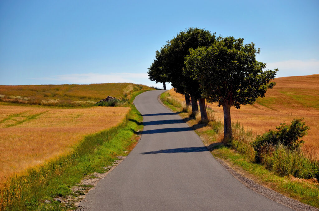 Peaceful country road winding through golden fields with lush green trees under blue sky Wallpaper
