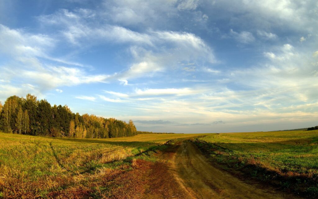 Peaceful country road through open fields under blue sky with soft clouds and distant trees Wallpaper
