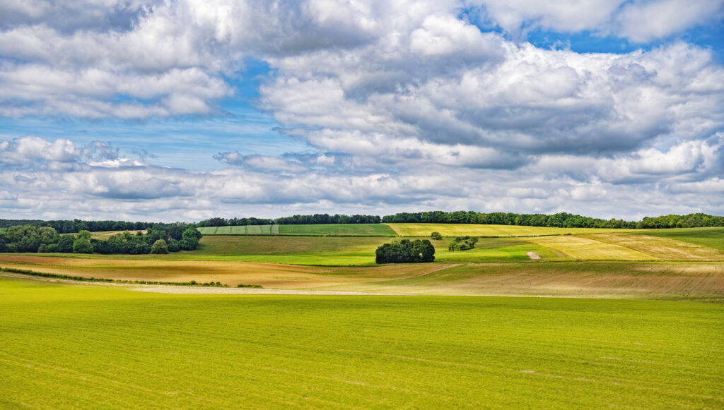 Vibrant countryside wallpaper with rolling hills open fields trees and dramatic cloudy sky