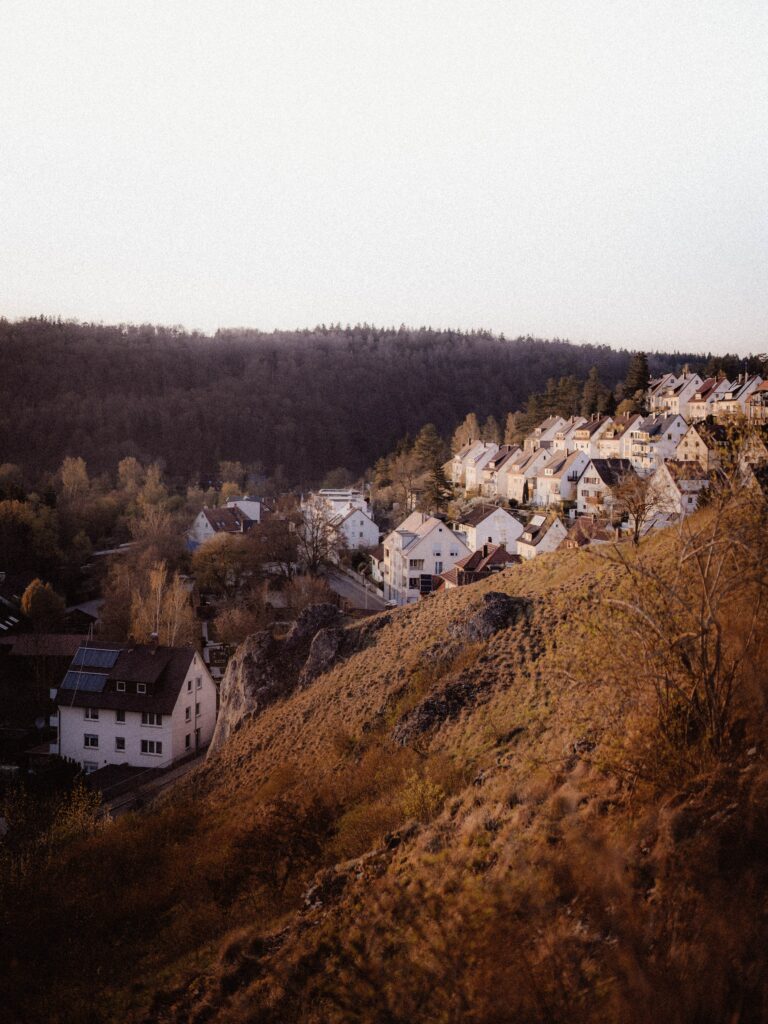 Charming village among rolling hills with white houses bordered by dense forest in warm light Wallpaper