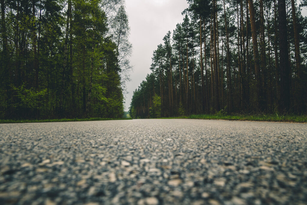 Quiet road lined with tall dense trees under misty overcast sky peaceful natural scene wallpaper