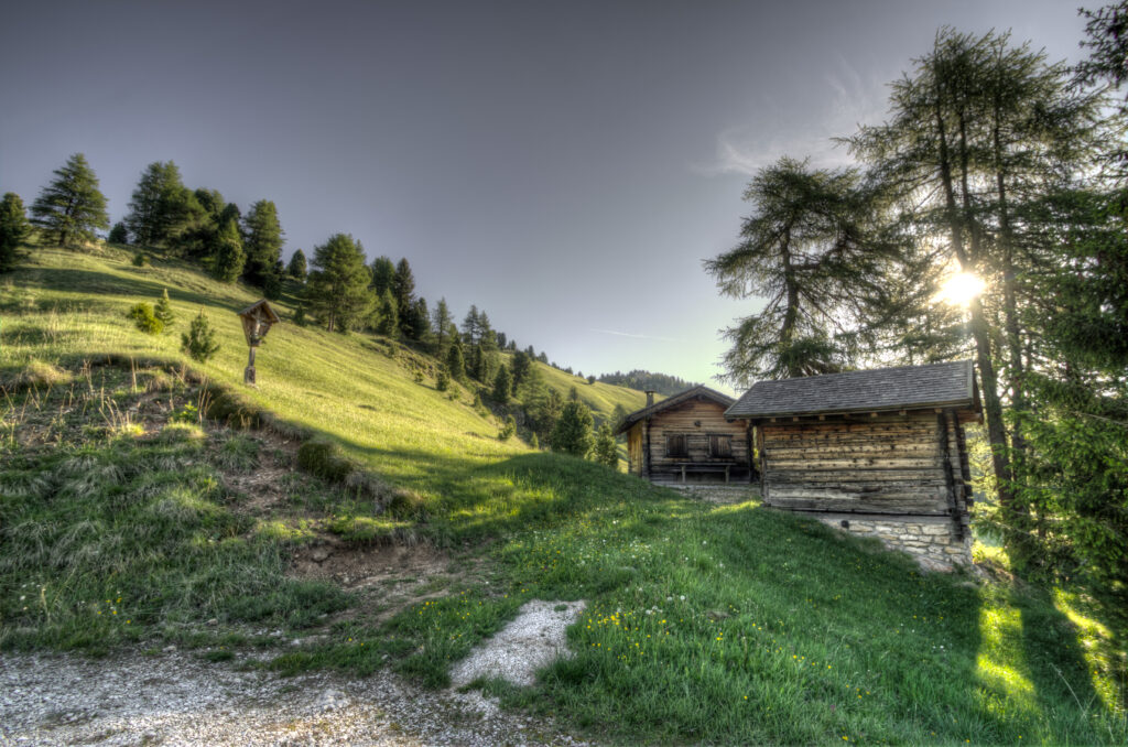 HDR serene hillside wallpaper with vibrant green grass tall trees rustic wooden structures sunlight
