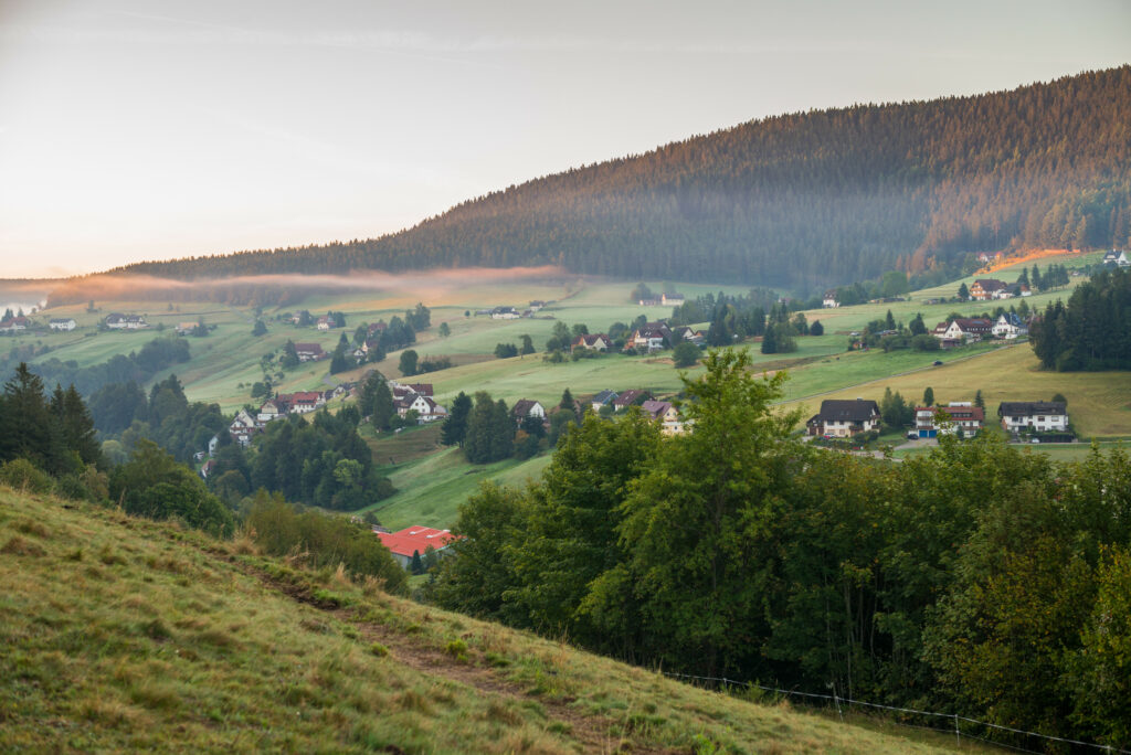 Peaceful hillside village with scattered houses among green trees and morning light wallpaper background