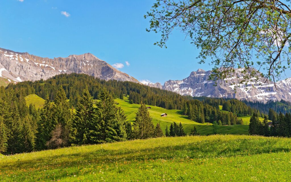 Scenic mountain landscape with green fields pine trees rugged peaks and blue sky wallpaper background
