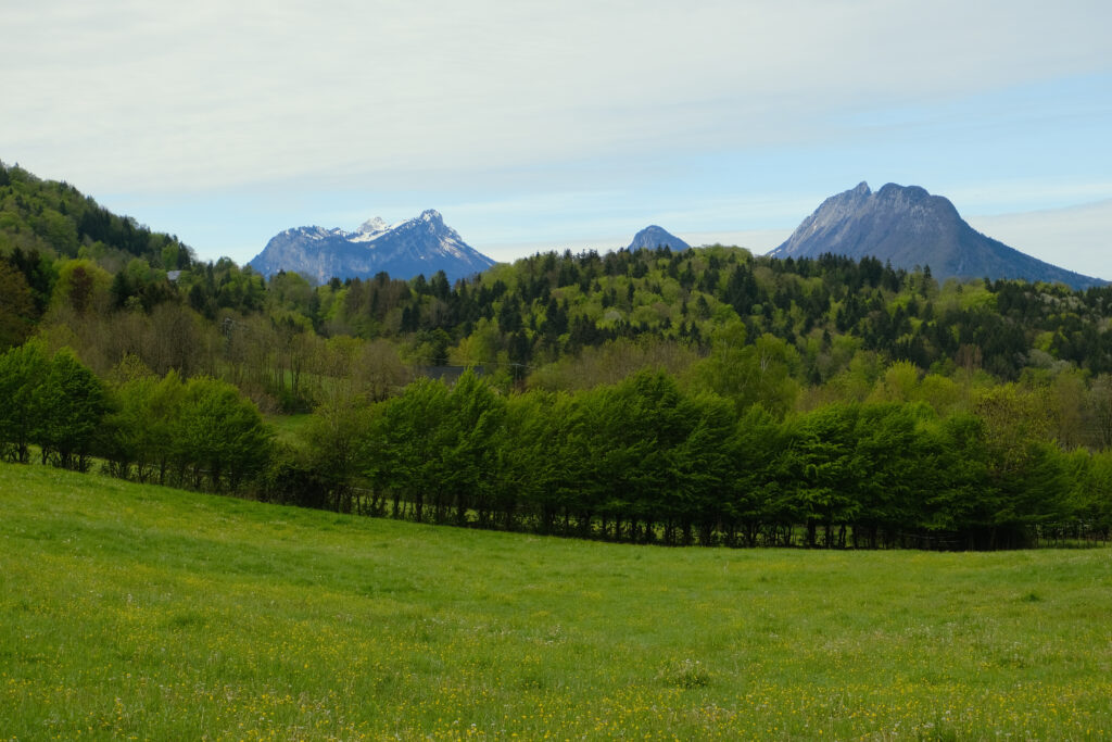 Serene landscape wallpaper with green fields vibrant trees rolling hills and majestic mountains sky