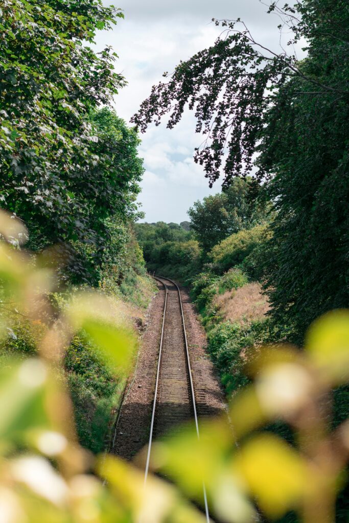 Peaceful railway tracks winding through lush green trees and vibrant natural foliage on a sunny day Wallpaper