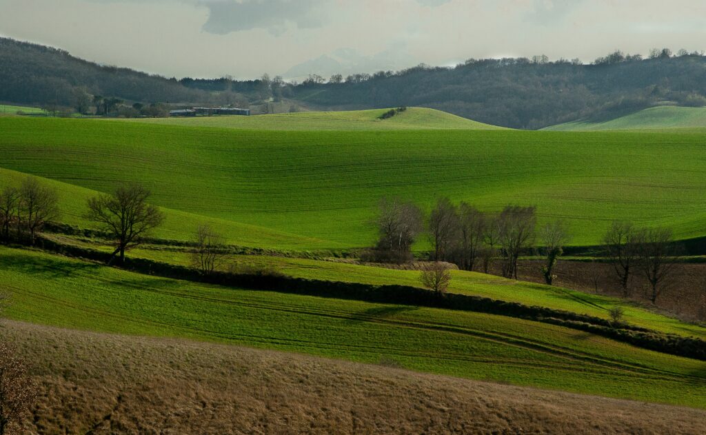 Rolling green hills and open fields of rural France with lush grass and sparse trees wallpaper