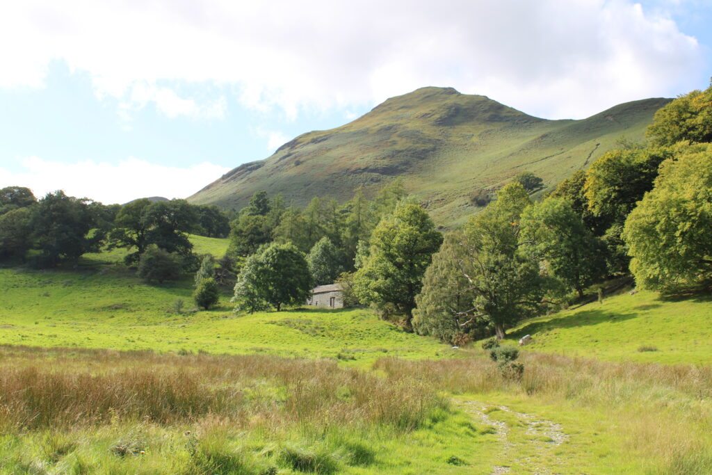Peaceful rural landscape with small house nestled in lush green trees and rolling hills under blue sky Wallpaper