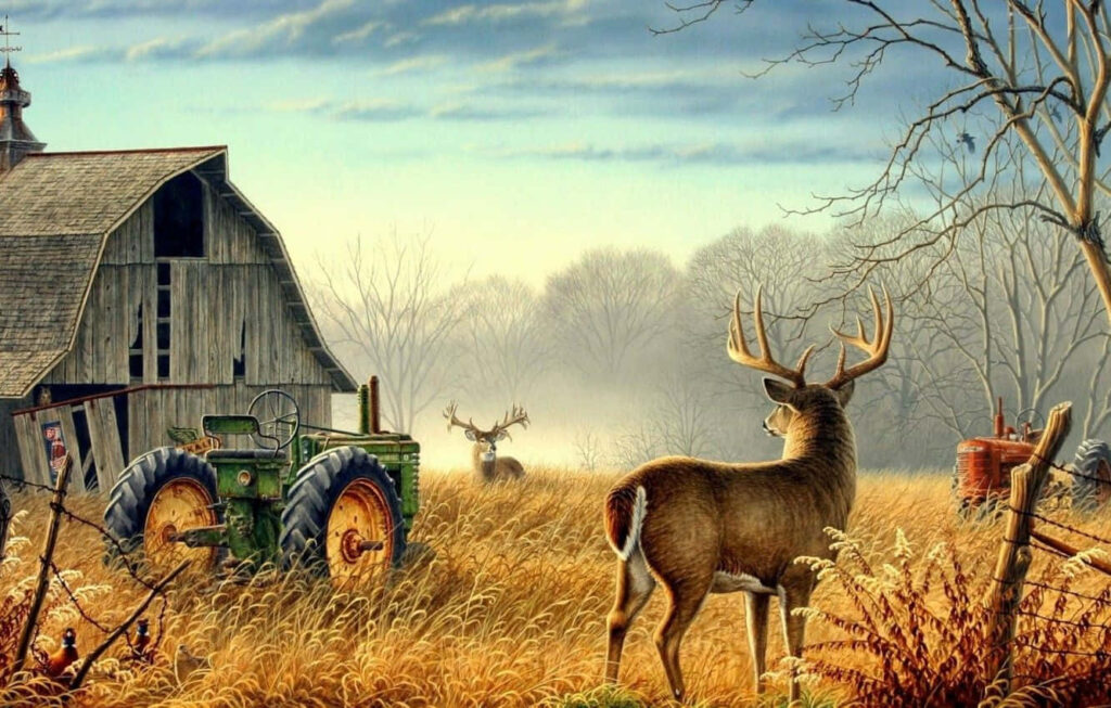 Peaceful Rural Scene: Deer by Barn & Tractor - Serene Nature Wallpaper