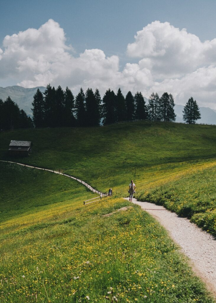 Scenic landscape wallpaper with rolling green hills winding path tall trees blue sky mountains