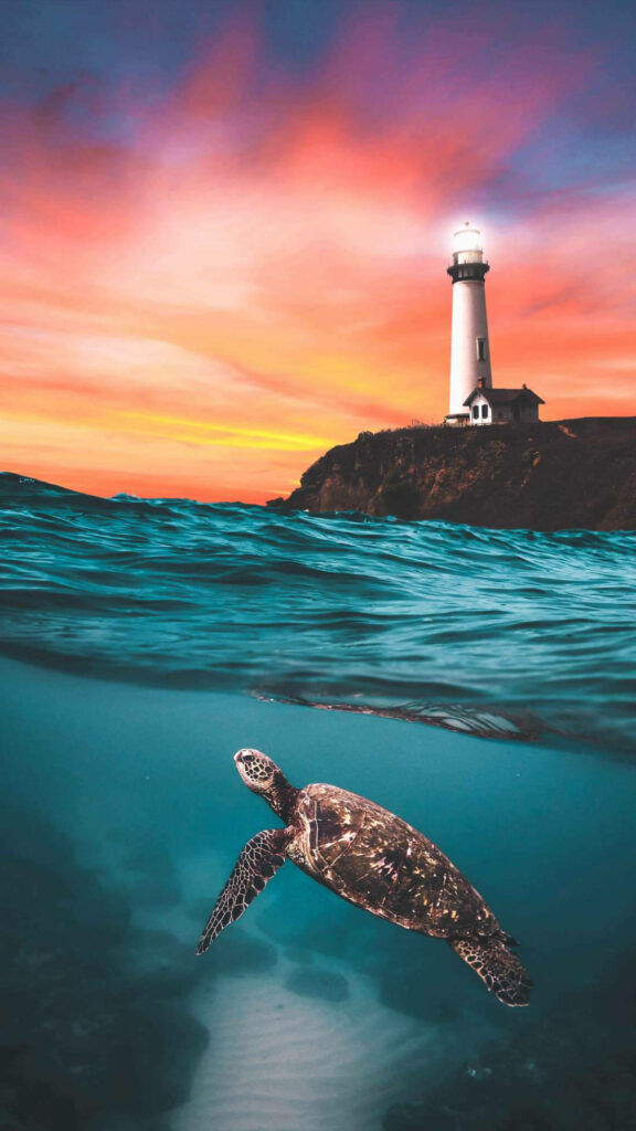 Sea turtle swimming under orange sunset sky near lighthouse on rocky shore iPhone wallpaper background