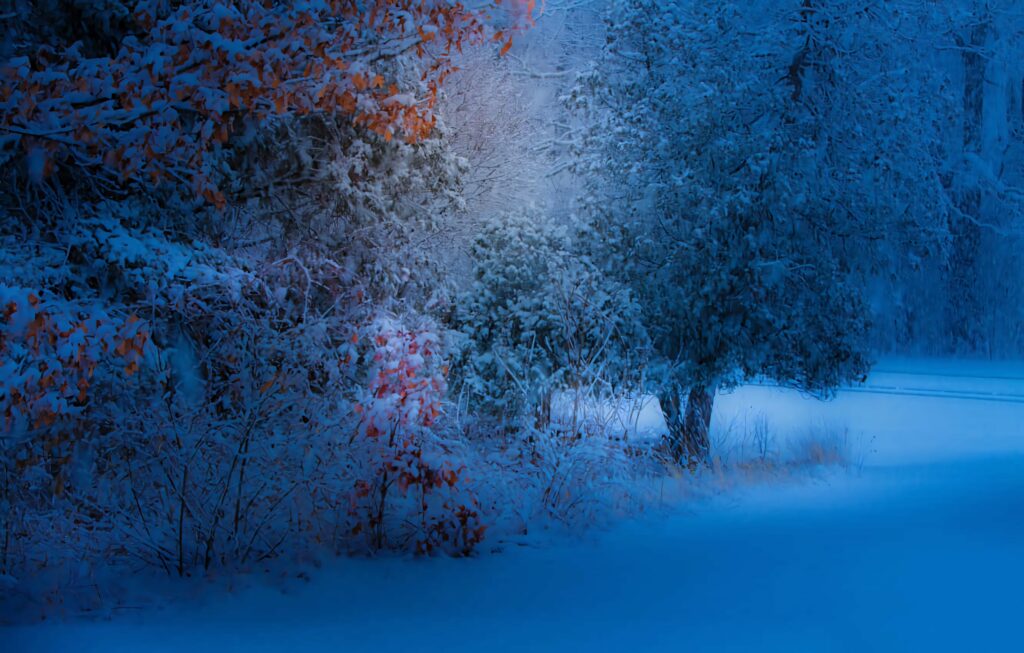 Serene Winter Snowfall Wallpaper: Calm Blue Nature Scene Background