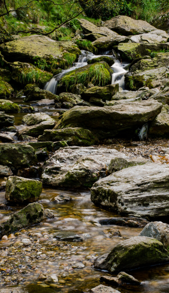 Serene stream flowing over mossy stones with lush greenery soothing natural wallpaper background