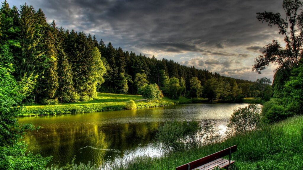 Peaceful summer river scene with wooden bench lush green forest sunlight through cloudy sky wallpaper
