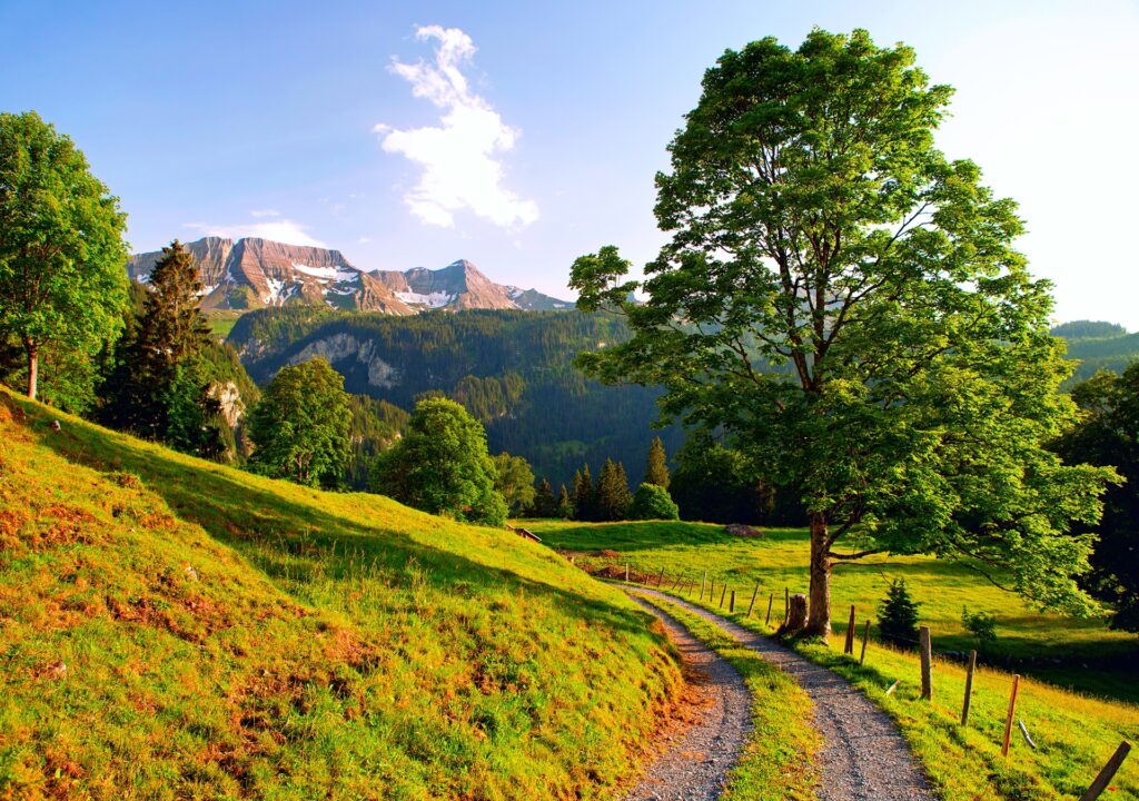 Winding road through Swiss meadows and Alps under golden sunlight summer landscape wallpaper