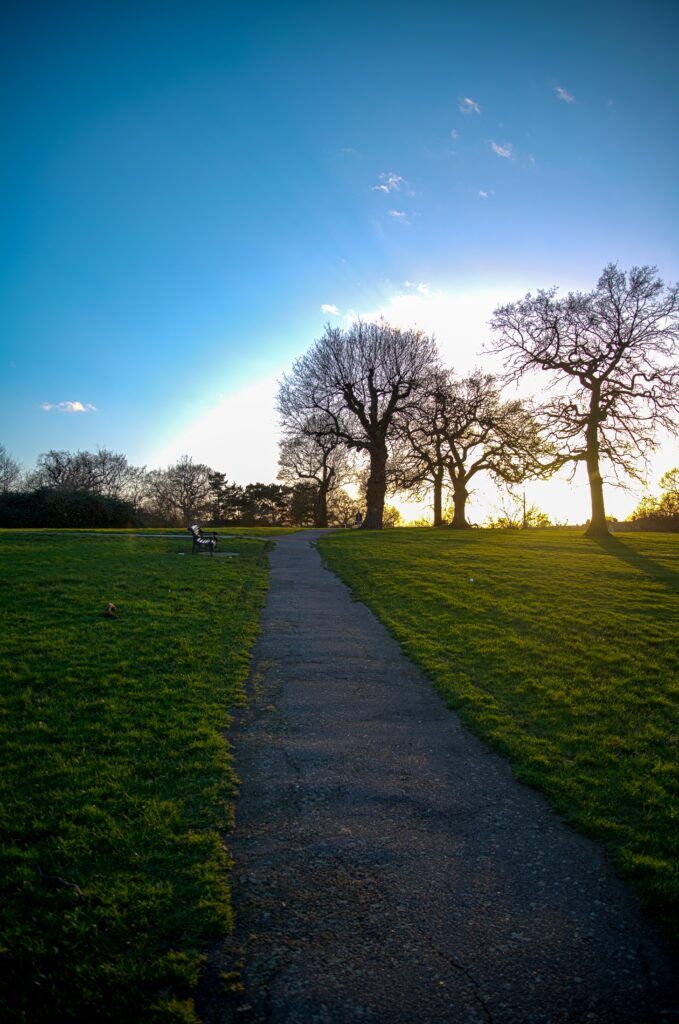 Quiet path through green field with bare trees and bench under clear blue sky at sunset Wallpaper