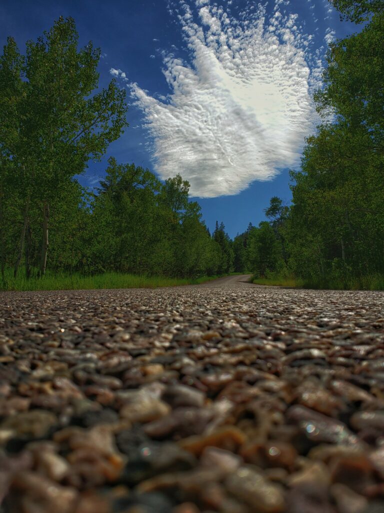 Textured road through lush green trees under vibrant blue sky with dramatic fluffy clouds wallpaper