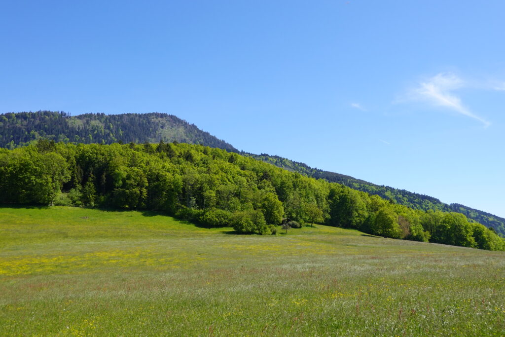 Peaceful valley with green fields trees and distant mountains under clear blue sky wallpaper background