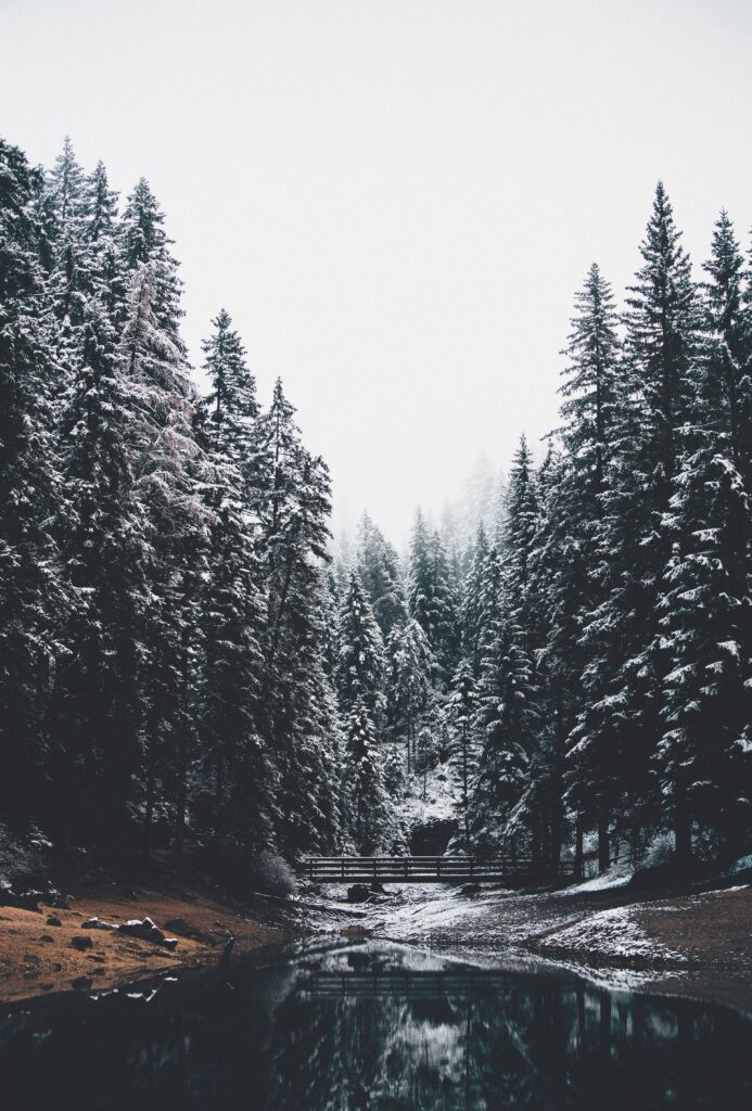 Winter landscape with snow-covered pine forest and wooden bridge over calm river under misty sky Wallpaper