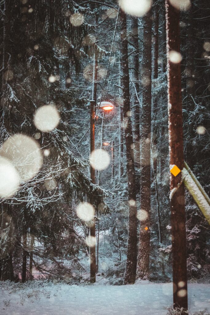 Glowing lantern lighting snow-covered trees with large snowflakes in serene winter forest scene Wallpaper