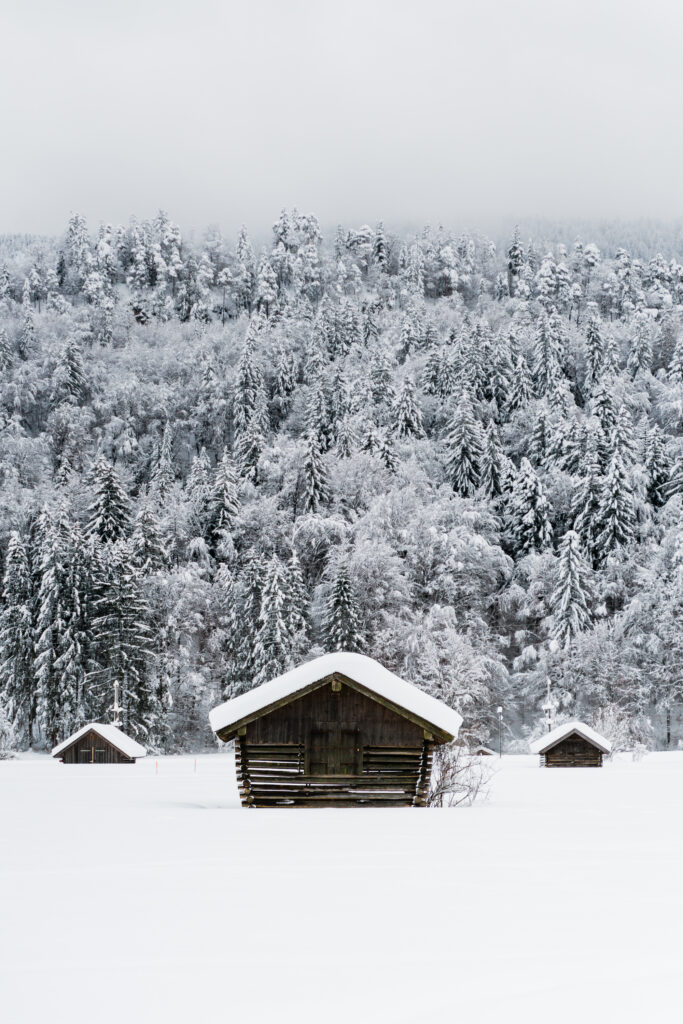 Snow-covered rustic wooden houses near dense forest under misty overcast winter sky wallpaper