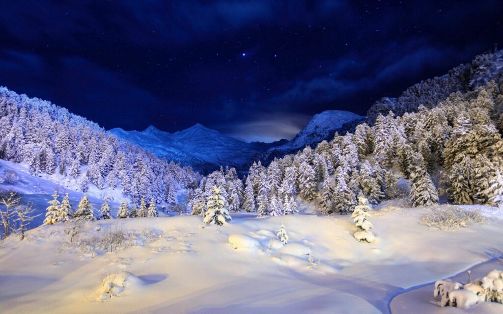 Snowy conifer forest under starry night sky winter wallpaper with serene mountain landscape background