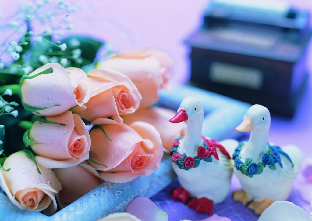 Peach Rose Wallpaper with Ceramic Geese & Gypsophila Accents