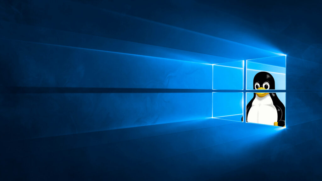 Whimsical Windows: Penguin Paradise Graces Computer Lock Screen Wallpaper