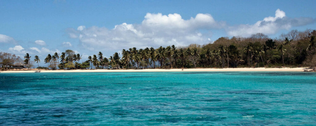 Stunning Beach Wallpaper: Crystal Waters & Lush Palm Trees