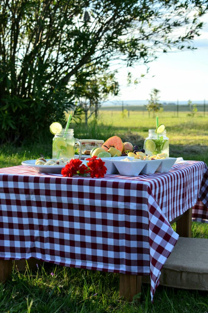 Charming Picnic Setup with Red Checkered Cloth & Fresh Fruits Wallpaper