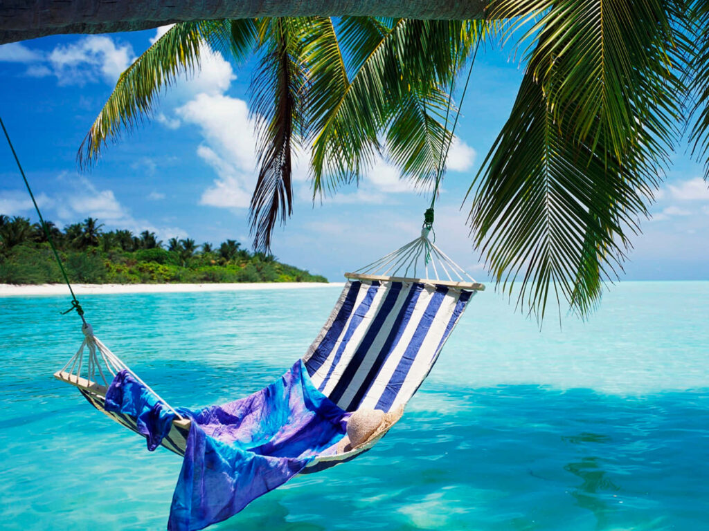Tropical Getaway: Hammock Over Crystal Waters in Palm Paradise Wallpaper