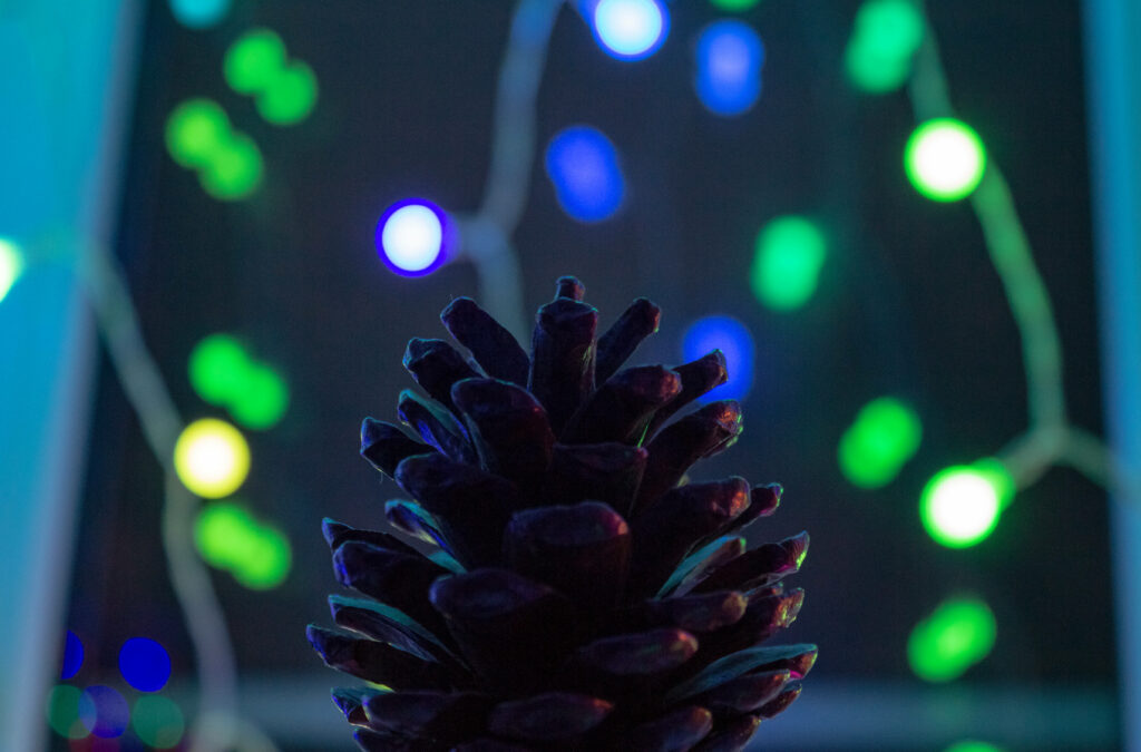 Pine Cone Delight: A Festive Glow Amidst Christmas Splendor Wallpaper