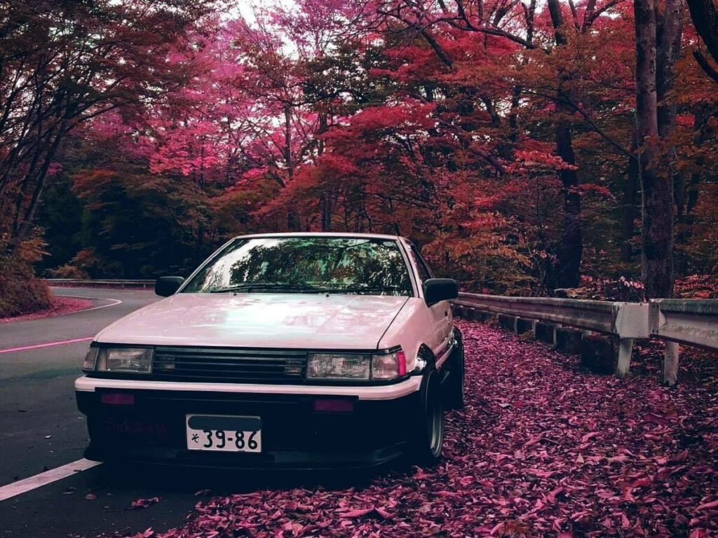 JDM Dream Machine Embraced by Blushing Autumn Foliage - Enchanting Background Shot! Wallpaper