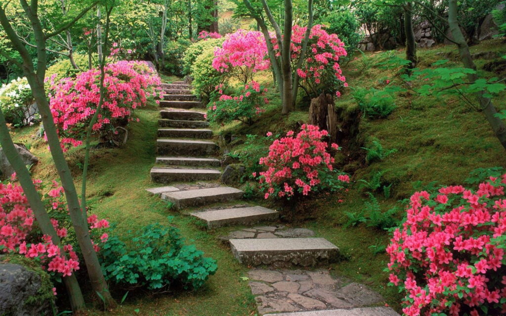 Pink Paradise: Immersive Japanese Azalea Garden – A Captivating HD Wallpaper Background