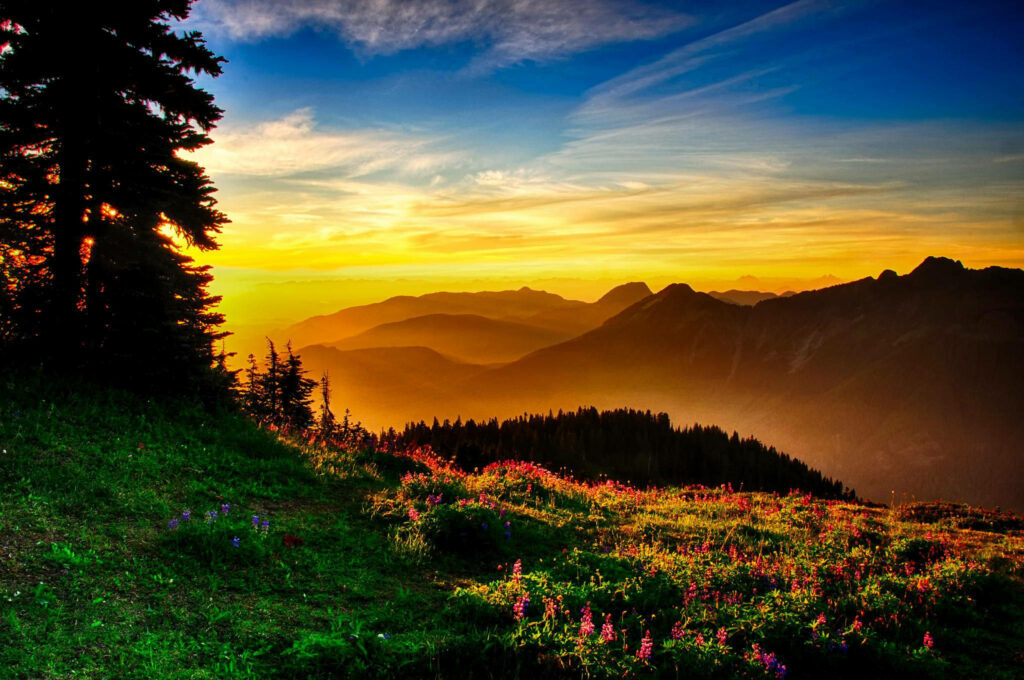 Majestic Sunrise Over a Pink Meadow: Scenic Windows 10 HD Wallpaper with Mountain View