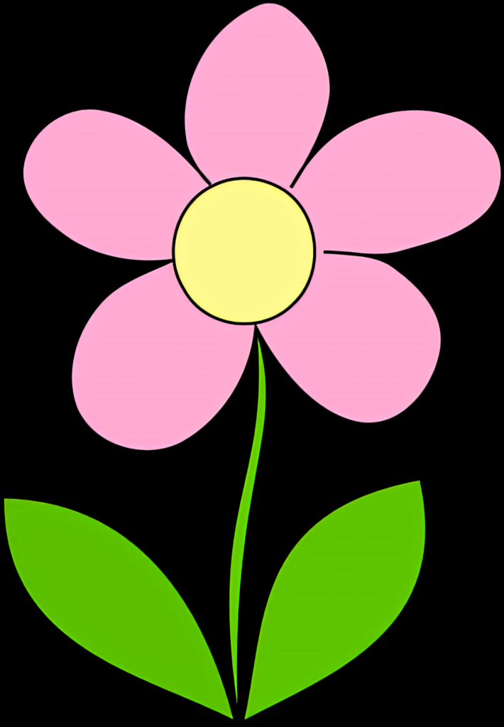 Pink Flower Illustration on Transparent Background - Simple Design Wallpaper