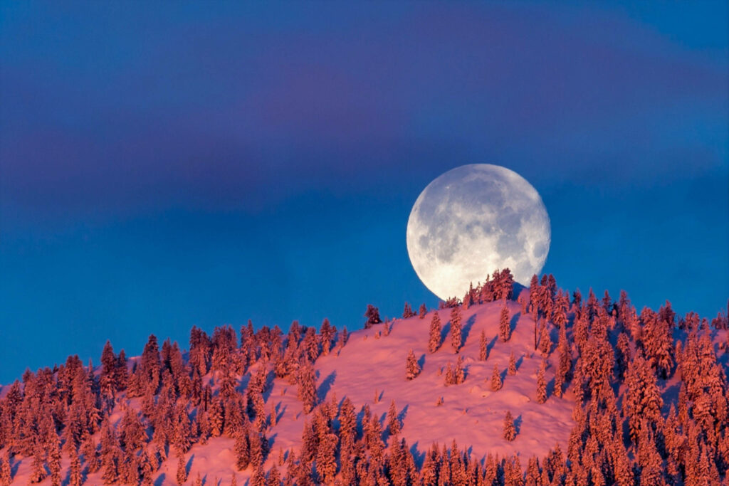 A Majestic Snow-Covered Mountain Embraced by a Pink Sunset Glow, While the Enchanting Full Moon Illuminates the Starry Night Sky - Captivating Background Image Wallpaper