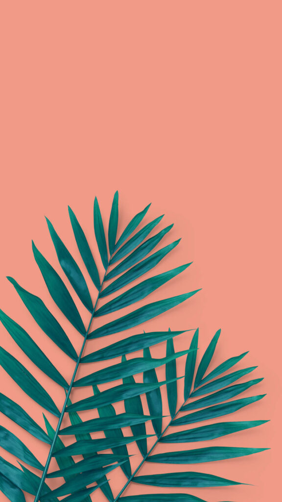 Pink Paradise: A Tropical iPhone Wallpaper featuring Vibrant Palm Leaves