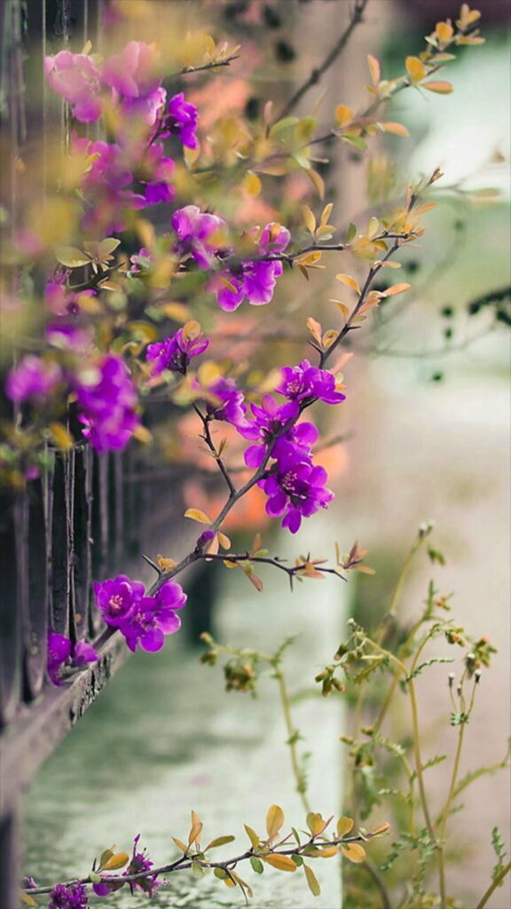 Blissful Blossoms: Captivating Pink Spring Delight – A Breathtaking HD Phone Wallpaper