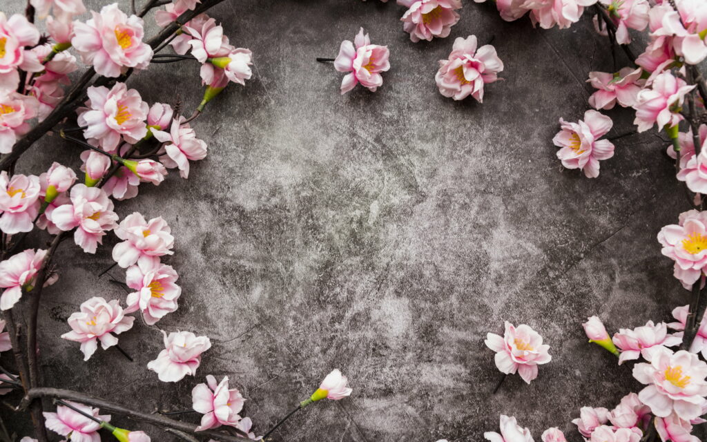 Spring's Blush: A Delicate Cherry Blossom Frame on a Subtle Gray Background Wallpaper