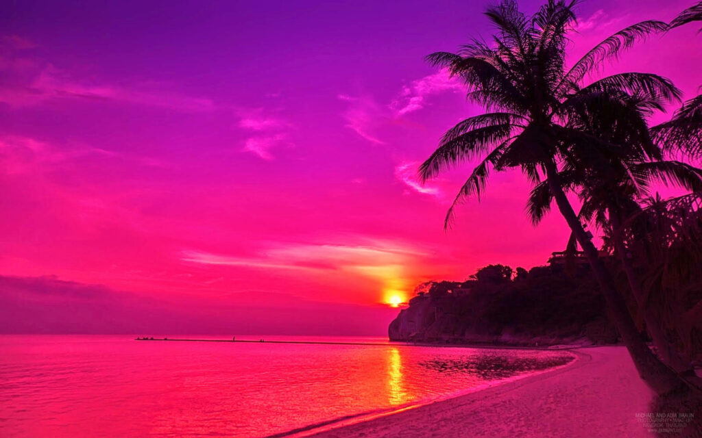 Pink sunset beach wallpaper with silhouetted coconut tree and vibrant tropical colors