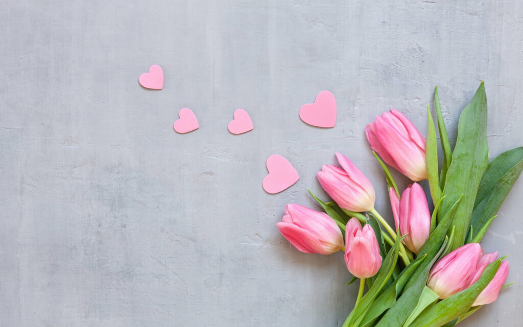 Serenade of Pink Tulips: A Captivating Spring Affair Wallpaper